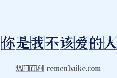 你是我不该爱的人是什么意思的图片